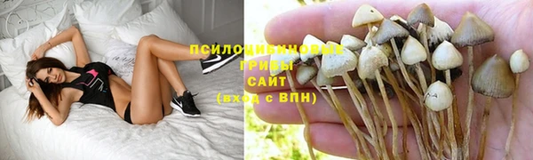 a pvp Корсаков