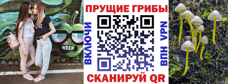 Купить где  Верхоянск  Псилоцибиновые грибы GOLDEN TEACHER 
